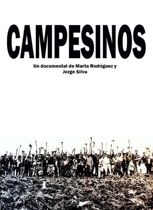 Image Campesinos