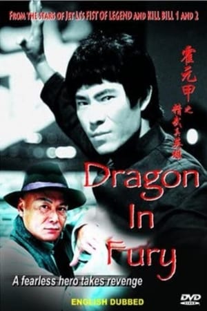 Image Dragon in Fury