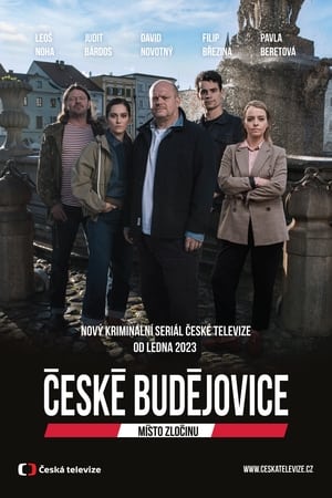 Image Místo zločinu České Budějovice