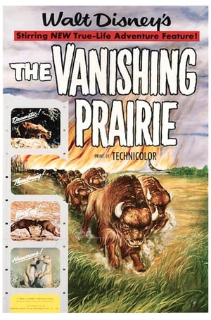 Image The Vanishing Prairie