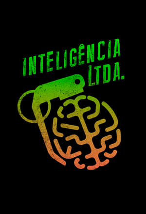 Image Inteligência Ltda.