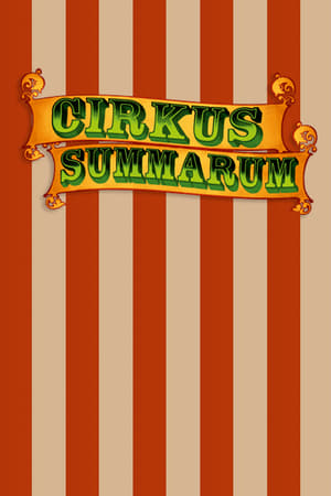 Image Cirkus Summarum
