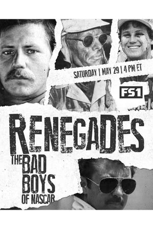 Image Renegades: The Bad Boys of NASCAR