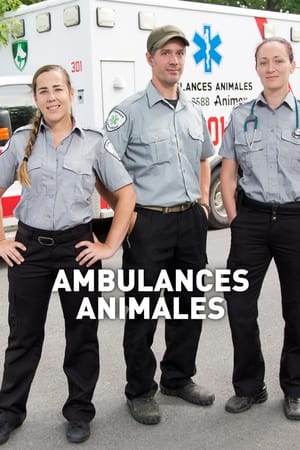 Image Ambulances animales