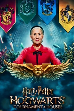 Image Harry Potter: Hogwarts - turnirul caselor