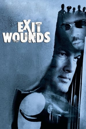 Image Exit Wounds