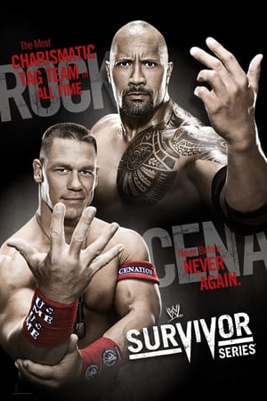Image WWE Survivor Series 2011