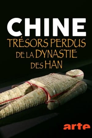 Image Chine : trésors perdus de la dynastie des Han