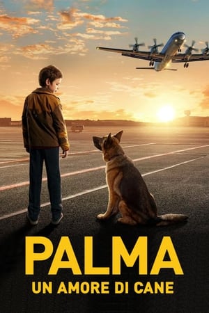 Image Palma – Un amore di cane