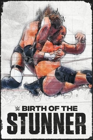 Image WWE: The Birth of the Stunner