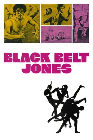 Image Black Belt Jones