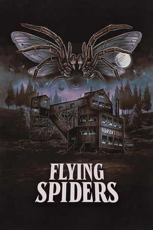 Image Flying Spiders