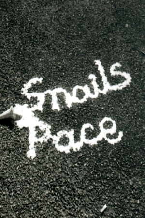 Image Snail's Pace