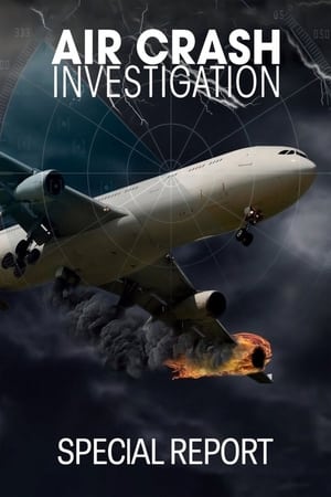 Image Air Crash Investigation: Special Report