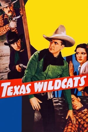 Image Texas Wildcats