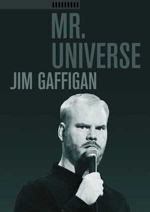 Image Jim Gaffigan: Mr. Universe