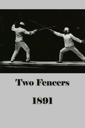 Image Two Fencers