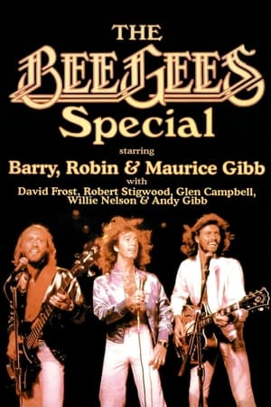 Image Bee Gees: Spirits Having Flown Tour