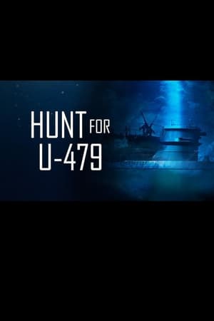 Image Hunt for U-479