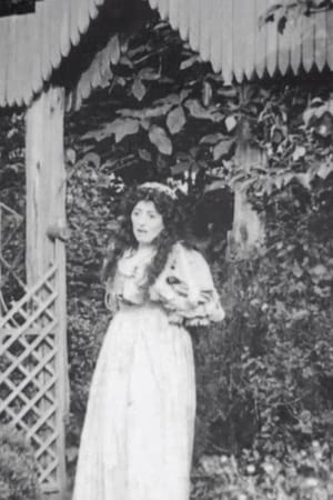 Image The Bride of Lammermoor
