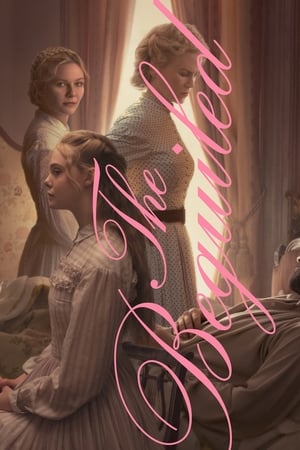 Image The Beguiled
