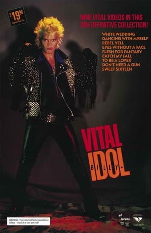 Image Billy Idol - VITAL IDOL