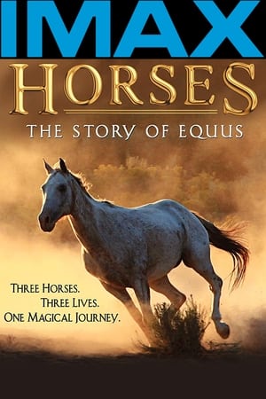 Image Horses: The Story of Equus