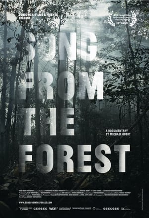 Image Song from the Forest