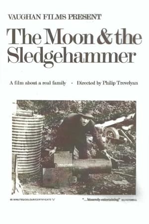 Image The Moon and the Sledgehammer