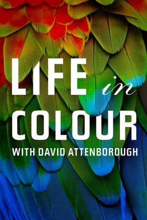 Image David Attenborough ile Yaşamın Renkleri