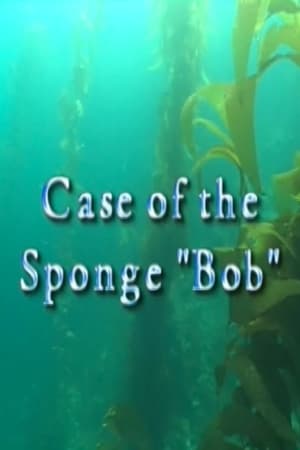 Image Case of the Sponge "Bob"