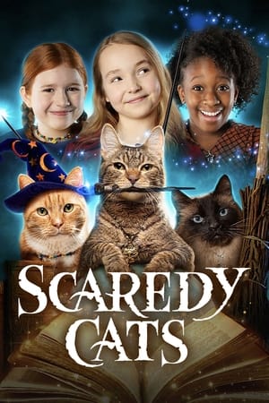 Image Scaredy Cats