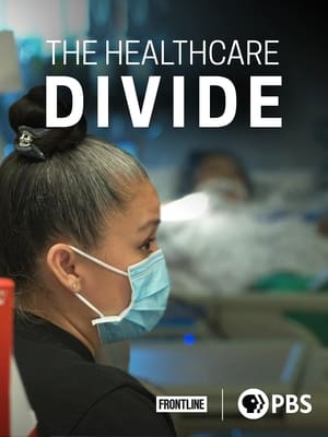 Image The Healthcare Divide