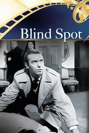 Image Blind Spot