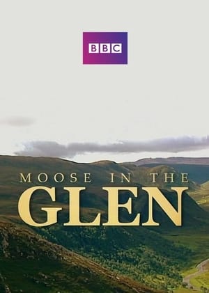 Image Moose in the Glen