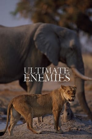 Image Ultimate Enemies: Revealed