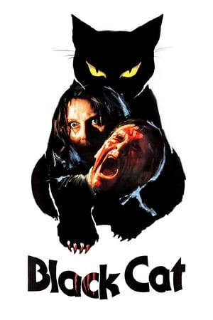 Image The Black Cat