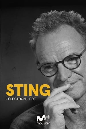 Image Sting - Tra musica e libertà