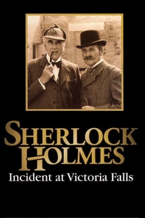 Image Sherlock Holmes: Incident at Victoria Falls