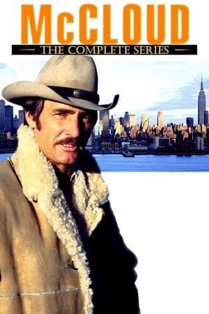 Image Un shérif à New York