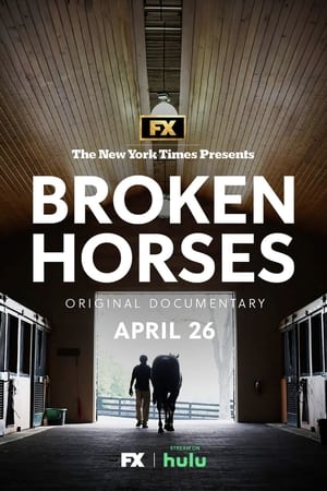 Image Broken Horses