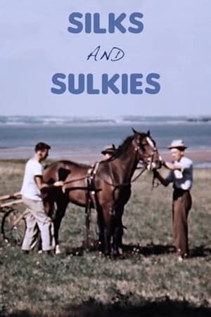 Image Silks and Sulkies