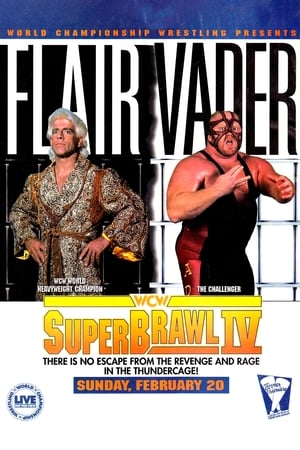 Image WCW SuperBrawl IV