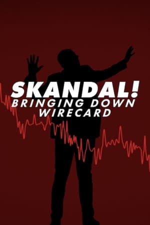Image Skandal! Declinul companiei Wirecard