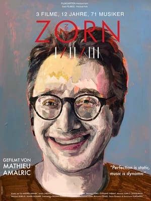 Image Zorn I (2010 – 2016)