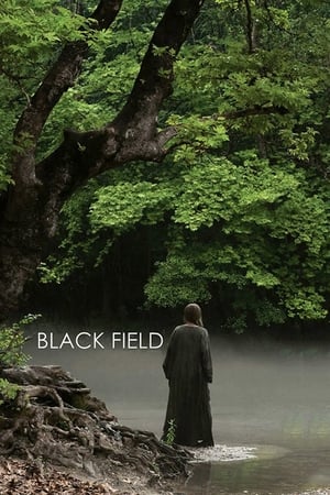 Image Black Field