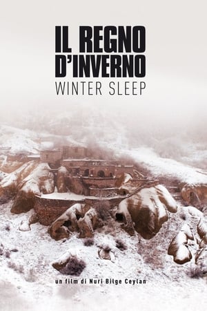 Image Il regno d'inverno - Winter Sleep