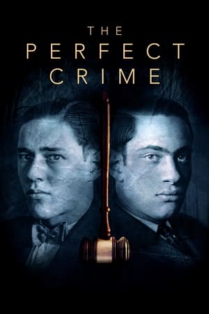 Image The Perfect Crime: Leopold & Loeb