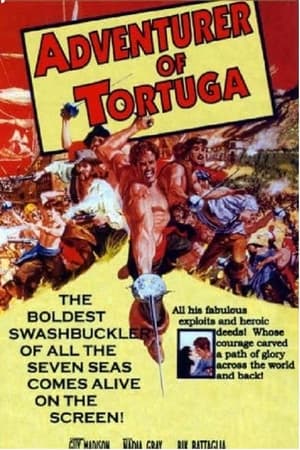 Image Adventurer of Tortuga