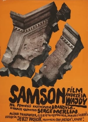 Image Samson